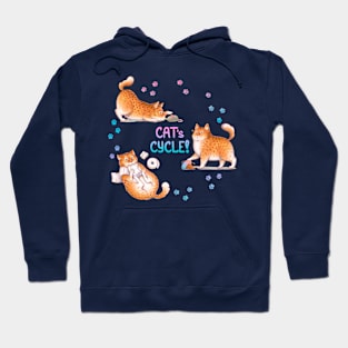 Cat's Cycle (Pink Blue) Hoodie